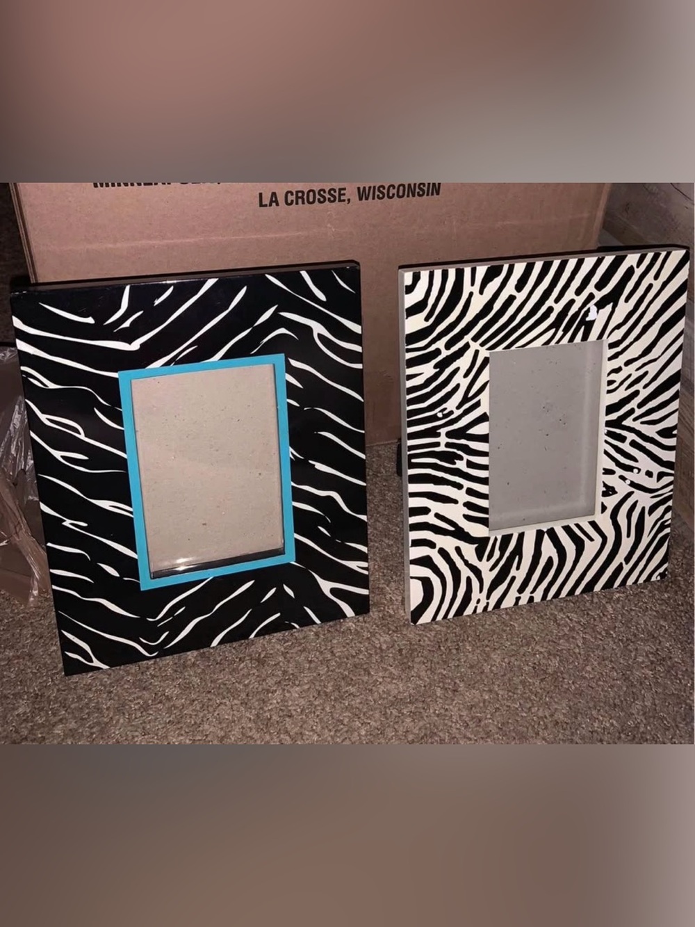 Zebra Print Decorative Picture Frames - Black & White